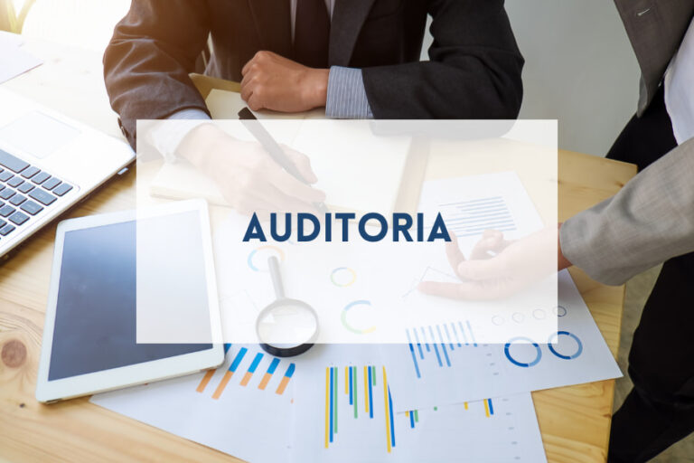 Auditoria 2